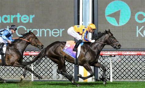 Manikato Stakes Betting Tips 2023, Odds, Field & Barrier Draw.